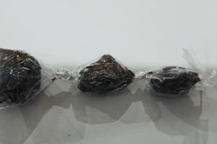 Jovem é detido com drogas durante operação policial em Serrinha